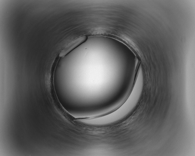 X0000088410485200706121417