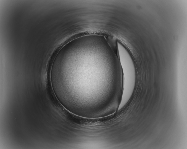 X0000088410488200706121417