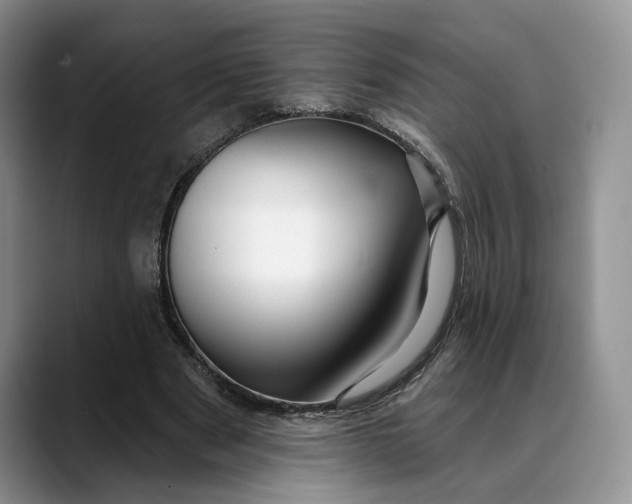 X0000088410489200706121417