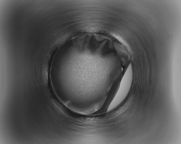 X0000088410493200706121417