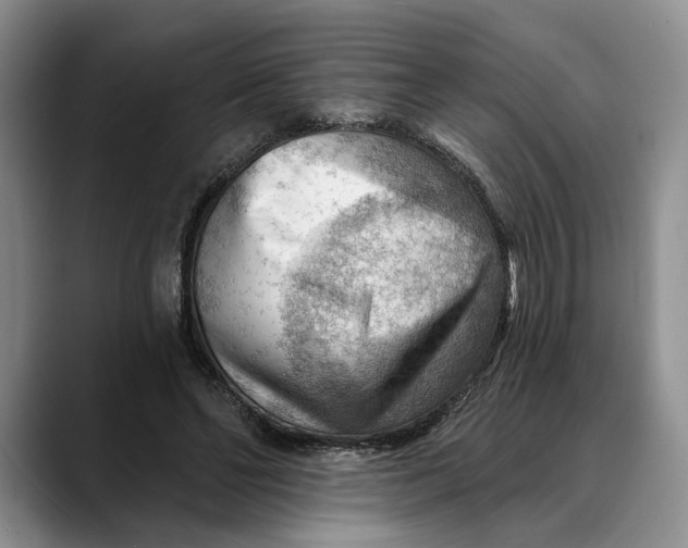 X0000088410494200706121417