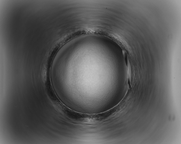 X0000088410496200706121417