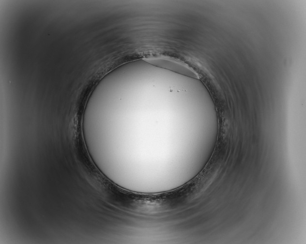 X0000088410498200706121417