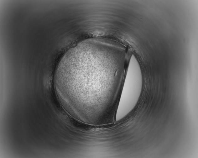 X0000088410499200706121417