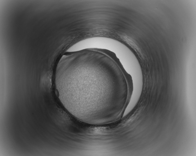 X0000088410501200706121417