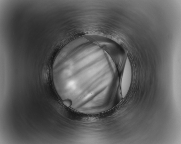 X0000088410503200706121417