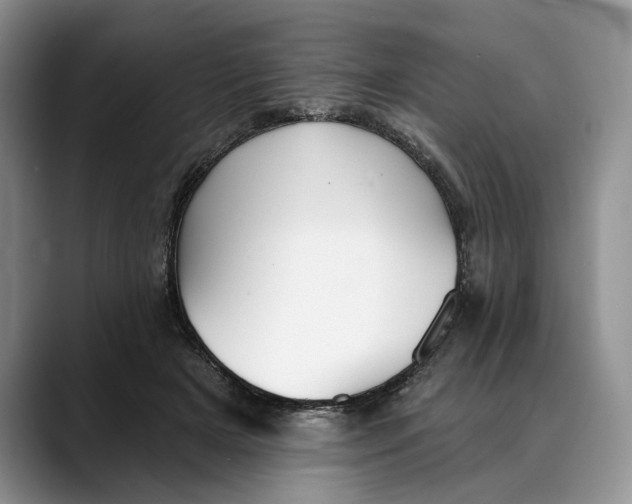 X0000088410505200706121417