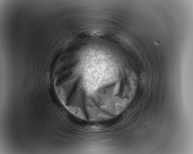 X0000088410506200706121417