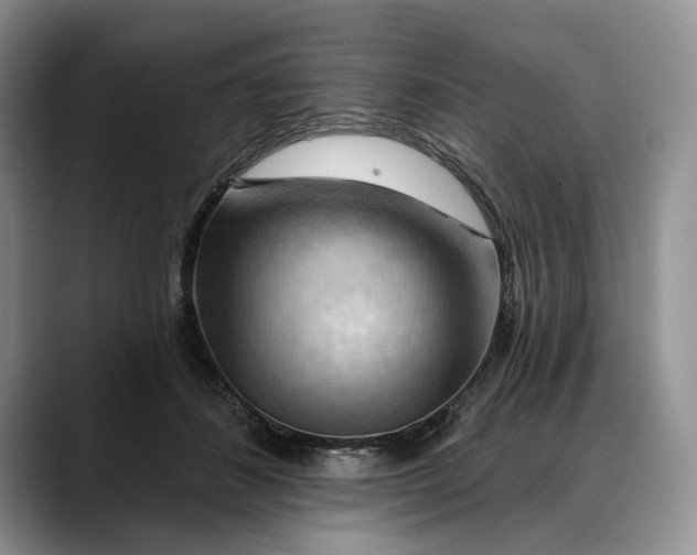 X0000088410508200706121417