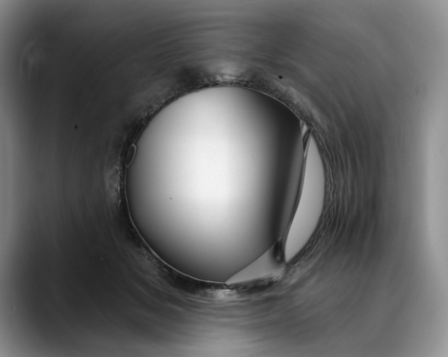 X0000088410509200706121417