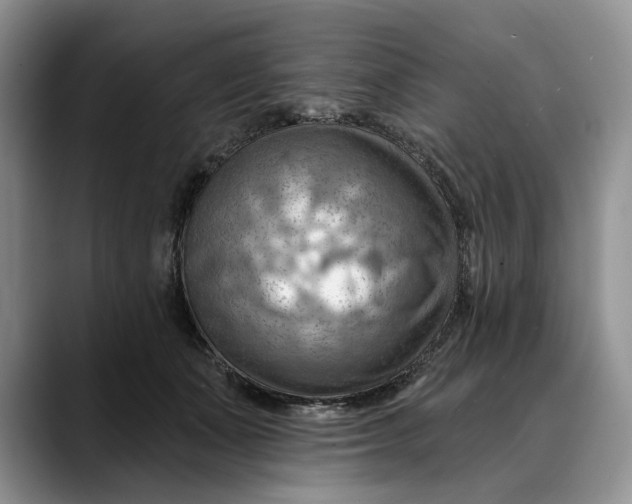 X0000088410511200706121417