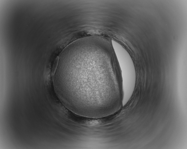 X0000088410513200706121417