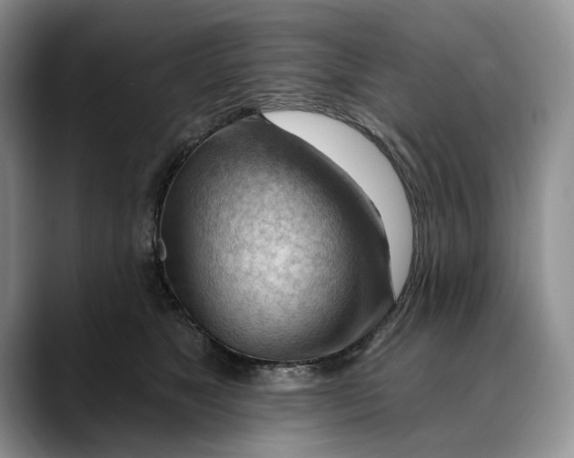 X0000088410517200706121417