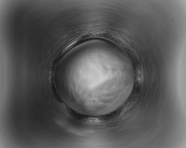 X0000088410519200706121417