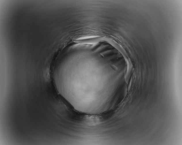 X0000088410520200706121417