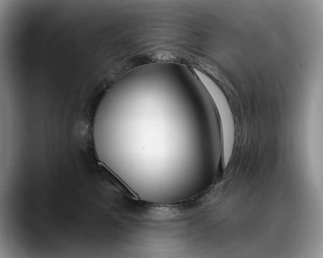 X0000088410521200706121417