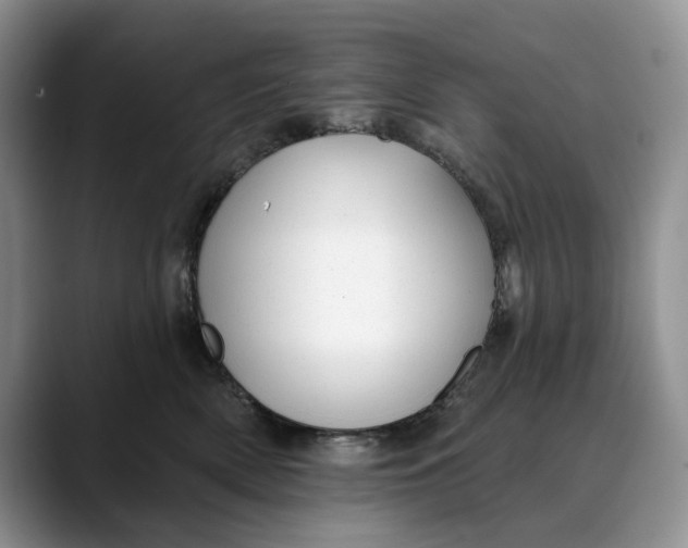 X0000088410522200706121417