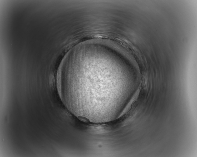 X0000088410523200706121417