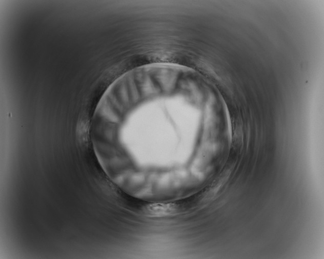 X0000088410526200706121417