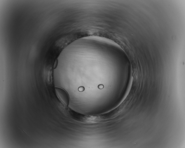 X0000088410527200706121417