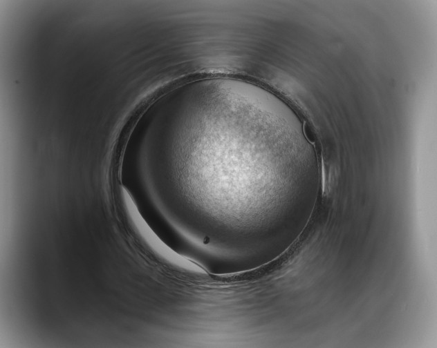 X0000088410531200706121416