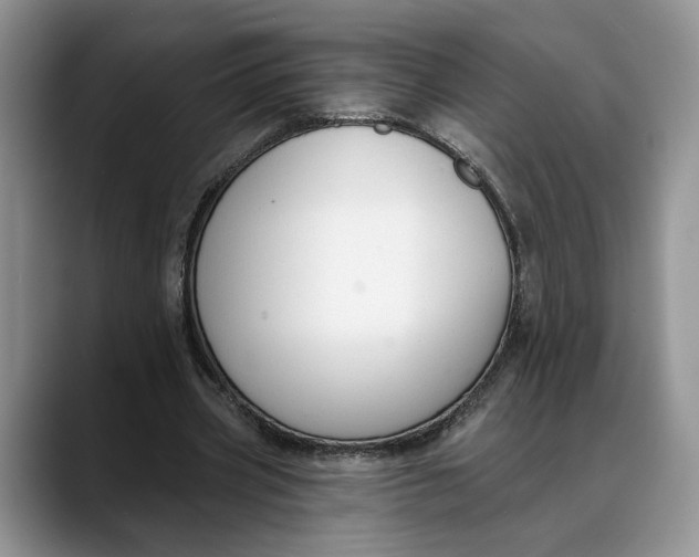 X0000088410533200706121416