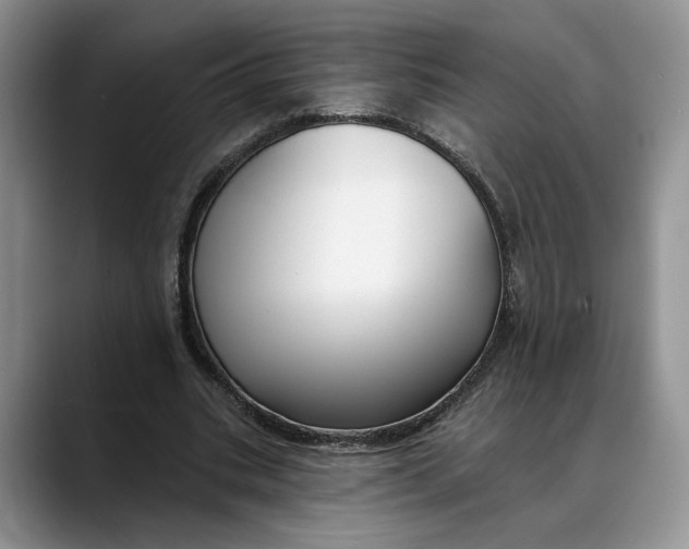 X0000088410535200706121416