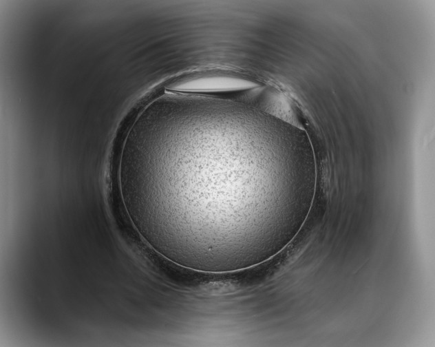 X0000088410536200706121416