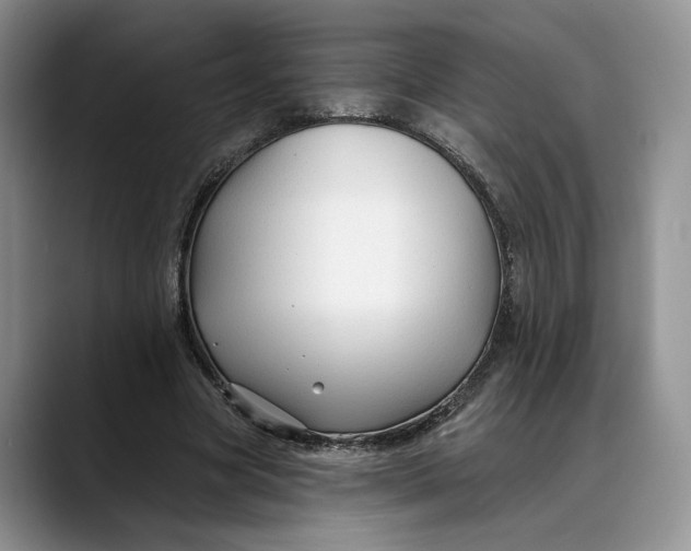 X0000088410537200706121416