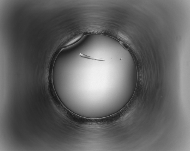 X0000088410538200706121416