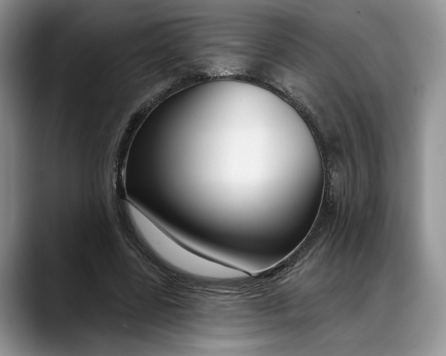 X0000088410539200706121416