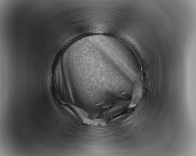 X0000088410540200706121416