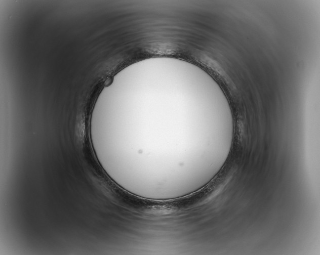 X0000088410541200706121416