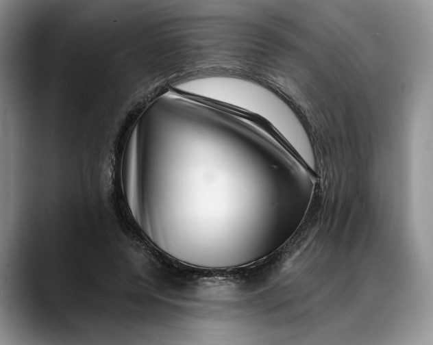 X0000088410544200706121416