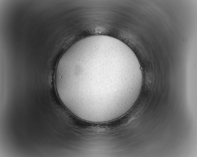 X0000088410545200706121416