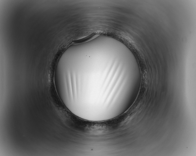 X0000088410546200706121416