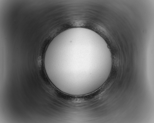 X0000088410549200706121416