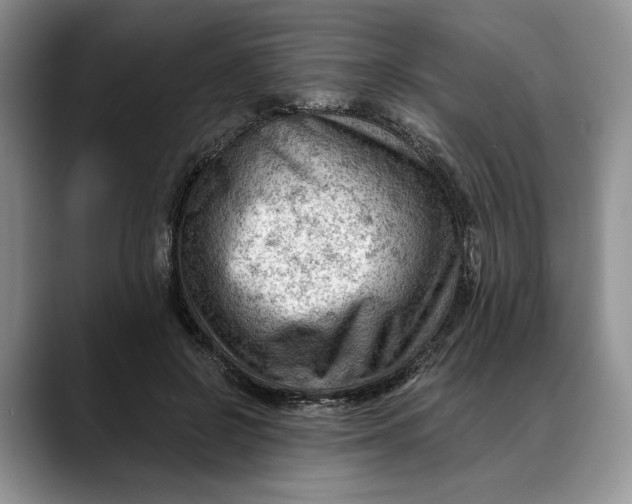 X0000088410550200706121416