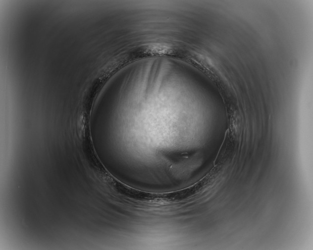 X0000088410551200706121416