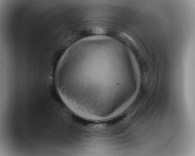 X0000088410553200706121416