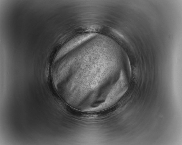 X0000088410554200706121416