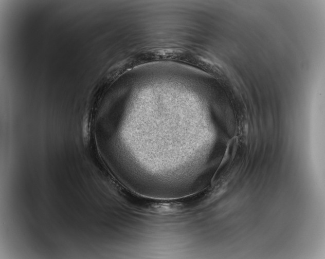 X0000088410558200706121416