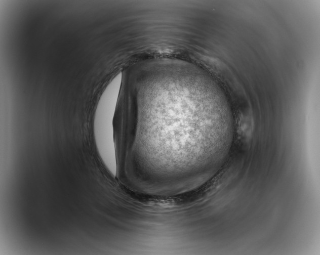 X0000088410559200706121416