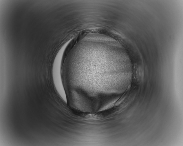 X0000088410562200706121416