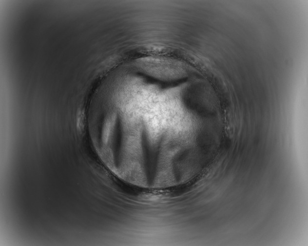 X0000088410563200706121416