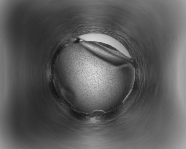 X0000088410564200706121416