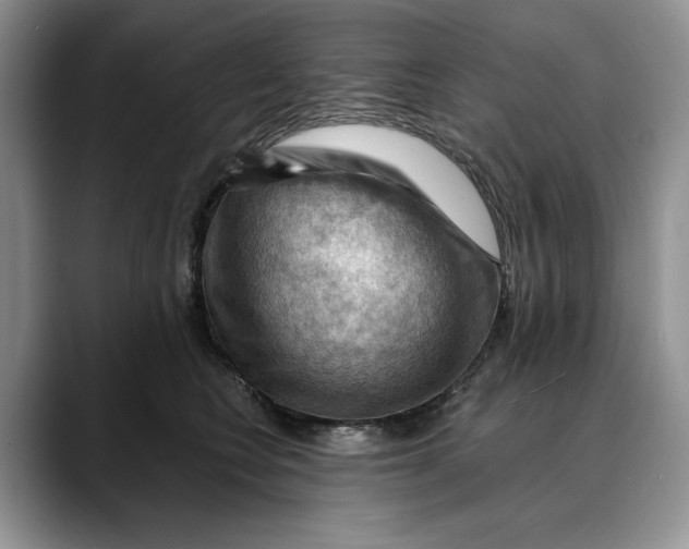 X0000088410566200706121416