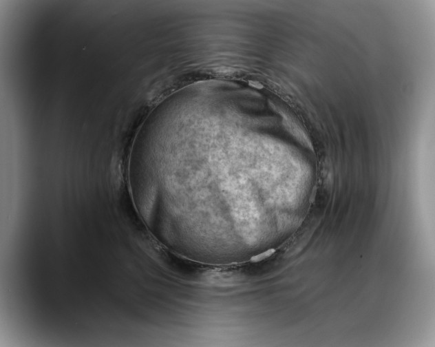 X0000088410568200706121416