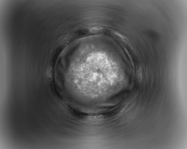 X0000088410571200706121417