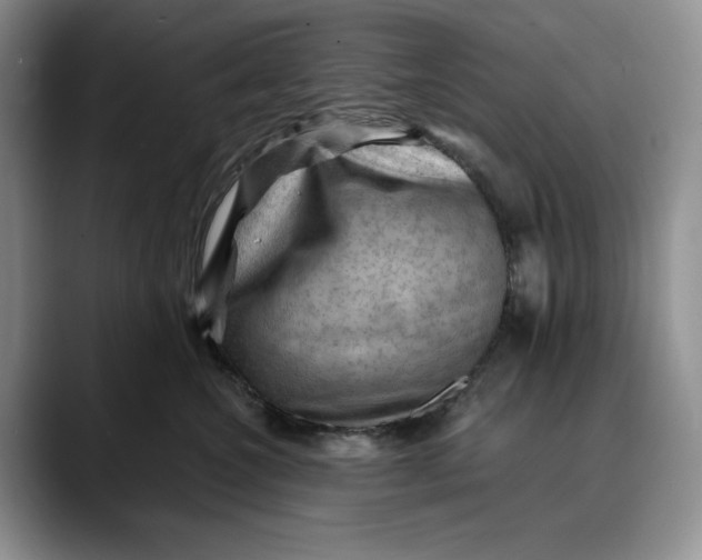 X0000088410572200706121417